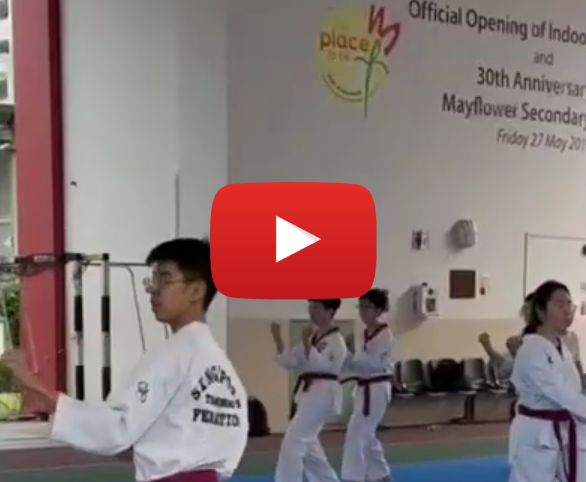 MFSS Taekwondo video